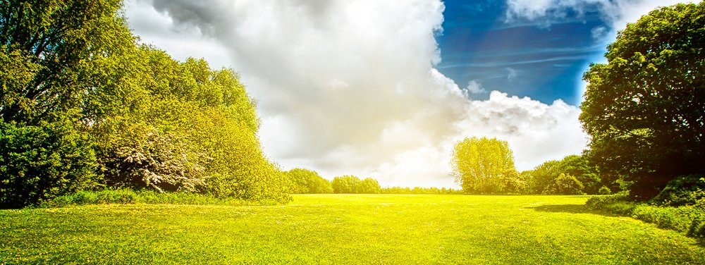 A photo of a field on a sunny day